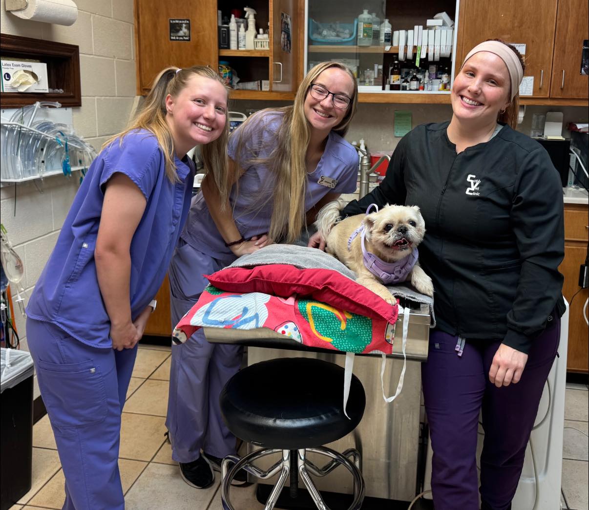 Cobb Careers Section Img1 Team pic